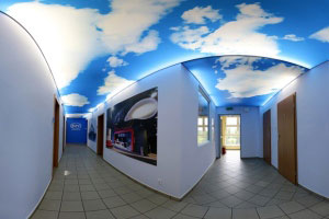 Printed murals